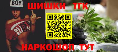 крисы Краснодар