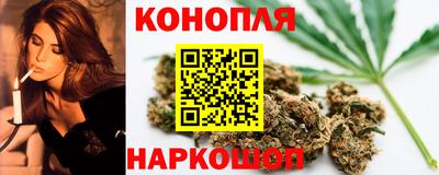 крисы Краснодар