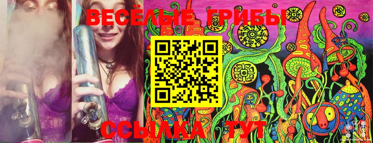 Галлюциногенные грибы Cubensis Воркута